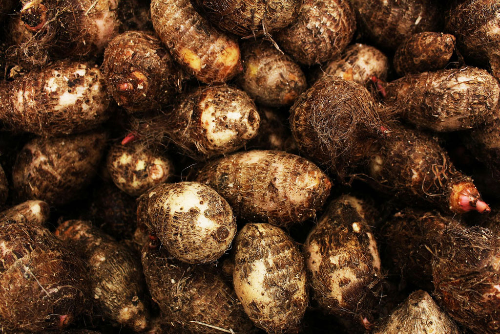 Wild yam ako prírodná podpora chudnutia